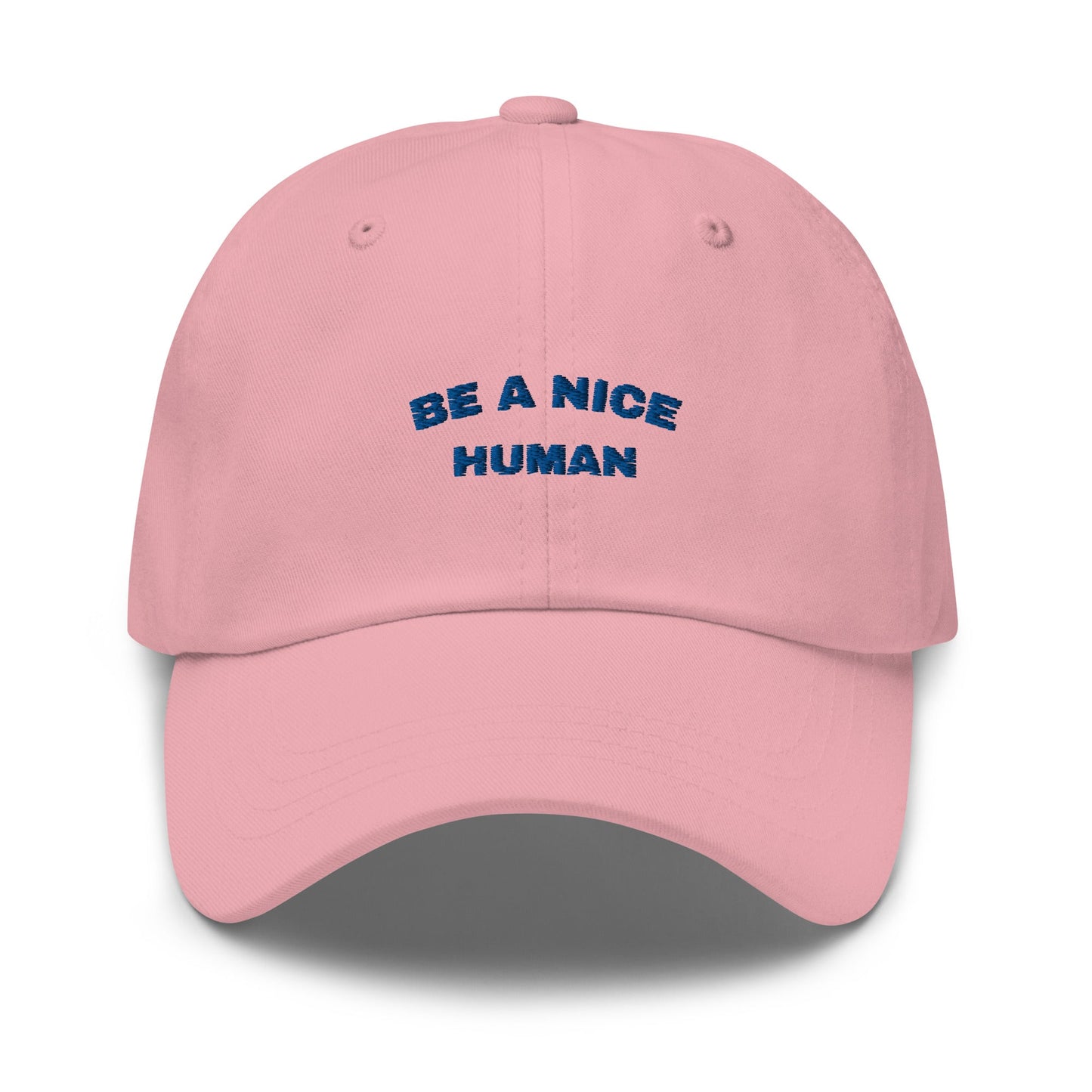 Be a Nice Human Hat | Art in Aging