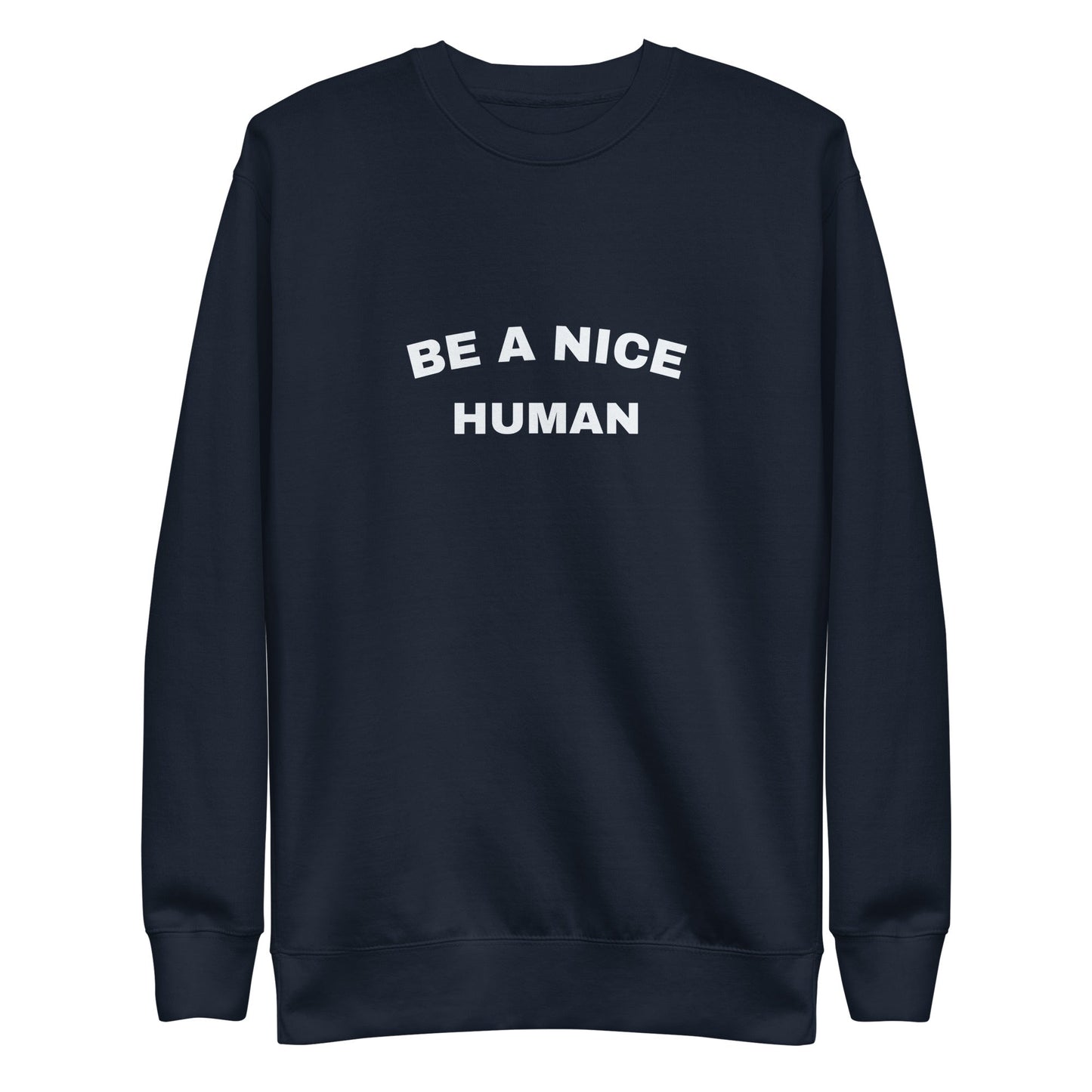 Be a Nice Human Sweatshirt | Art in Aging